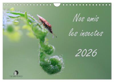 CALVENDO Nature - Nos amis les insectes (Calendrier mural 2026 DIN A4 vertical), CALVENDO calendrier mensuel - Un regard fascinant sur le monde miniature des insectes.