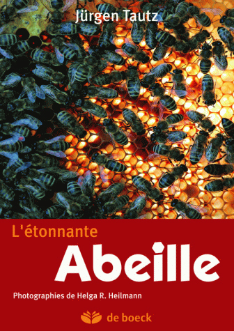 L'étonnante abeille