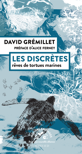 LES DISCRETES - Rêves de tortues marines