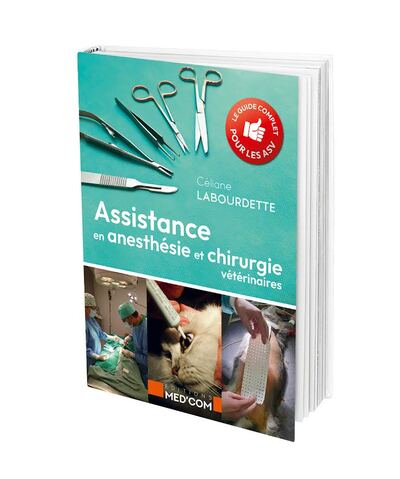 Assistance en anesthésie et chirurgie vétérinaire