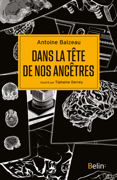 Dans la tête de nos ancêtres