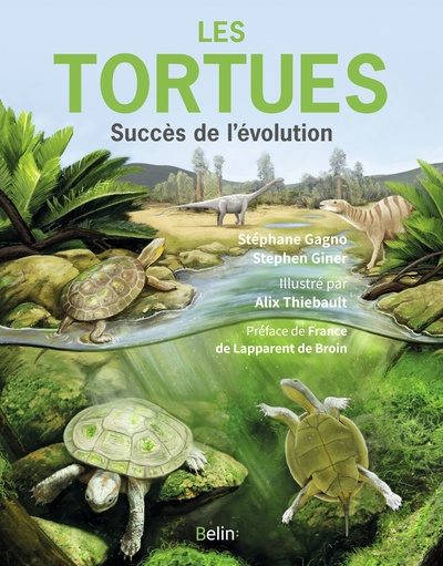 Les Tortues - Succès de l'évolution