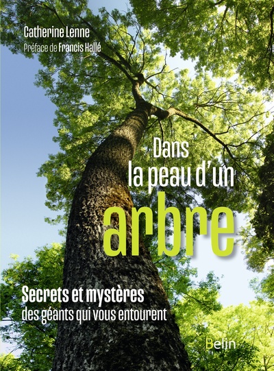 Dans la peau d'un arbre - Secrets et mystères des géants qui vous entourent