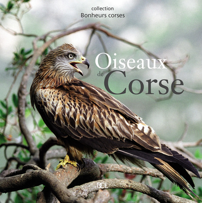 OISEAUX DE CORSE