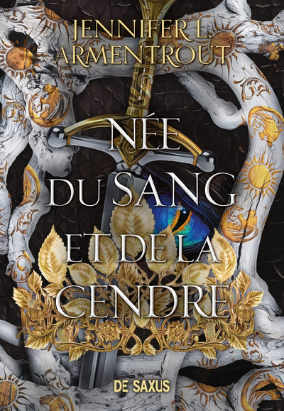Née du Sang et de la Cendre (broché) - Tome 04 La Chair et le Feu