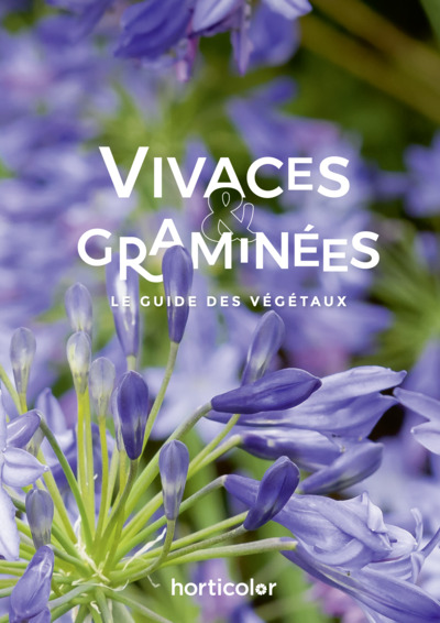 Vivaces & Graminées - Le Guide des Végétaux