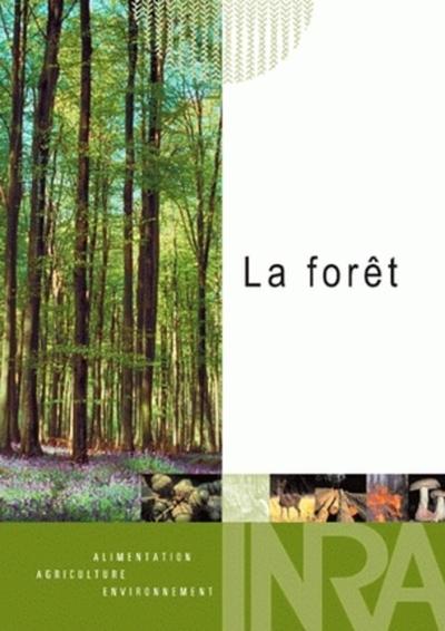 La forêt, le climat - The forest, the climate.