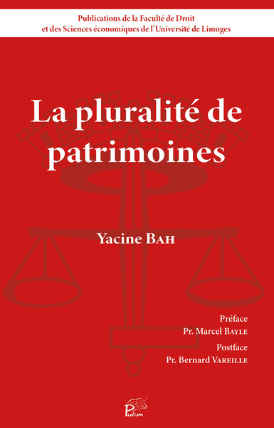 LA PLURALITE DE PATRIMOINES