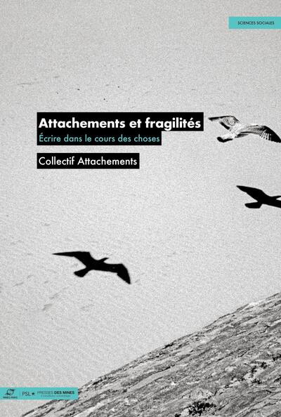 Attachements et fragilités - Écrire dans le cours des choses