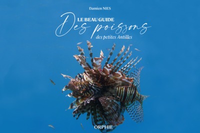 Le beau guide des poissons des petites Antilles