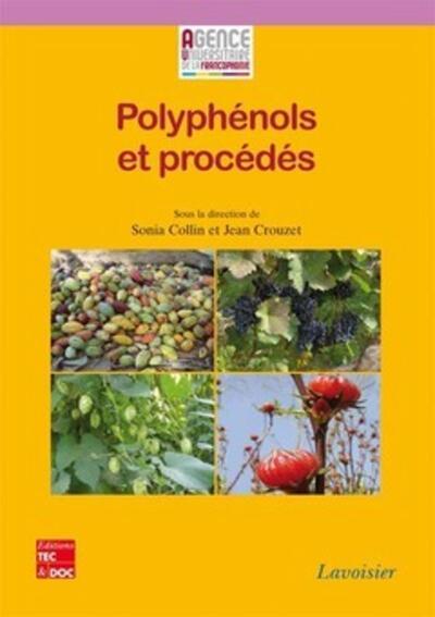 Polyphénols et procédés - Transformation des polyphénols au travers des procédés appliqués à l'agroalimentaire