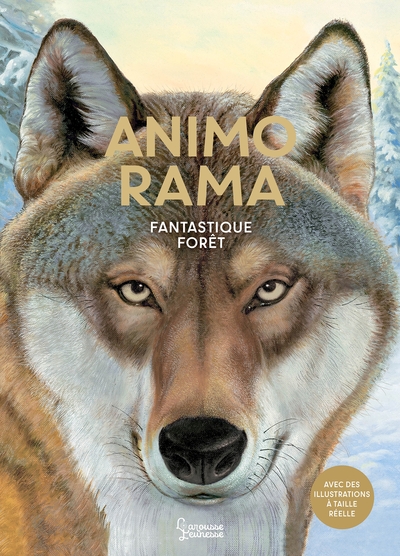 ANIMO RAMA Fantastique forêt
