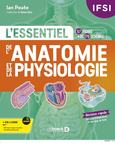 IFSI - L'essentiel de l’anatomie et de la physiologie humaines en fiches - 57 fiches - Plus de 170 illustrations