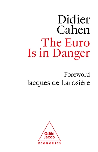 The Euro is in Danger