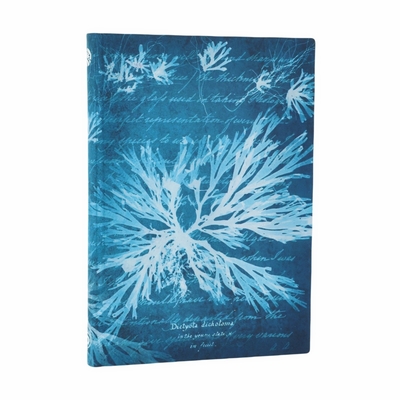 Carnet Flexis Fleurs Marines Midi Non ligné