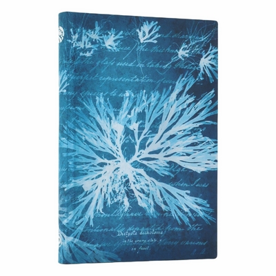 Carnet Flexis Fleurs Marines Mini Ligné
