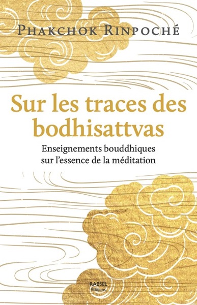 Sur les traces des bodhisattvas