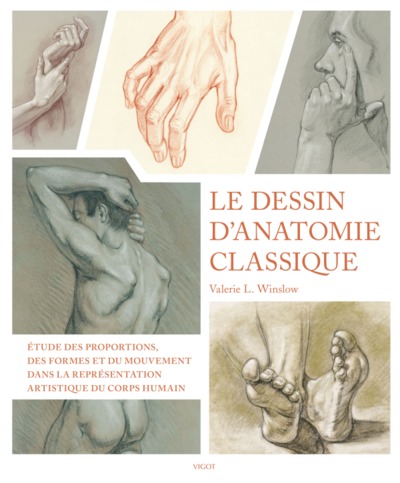 Le dessin d'anatomie classique - Étude des proportions, des formes et du mouvement dans la représentation artistique du corps humain
