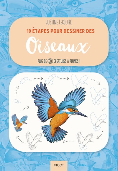 10 étapes pour dessiner des oiseaux - Plus de 50 créatures à plumes !