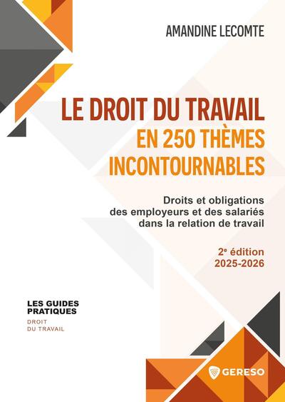 Le droit du travail en 250 thèmes incontournables - Droits et obligations des employeurs et des salariés dans la relation de travail