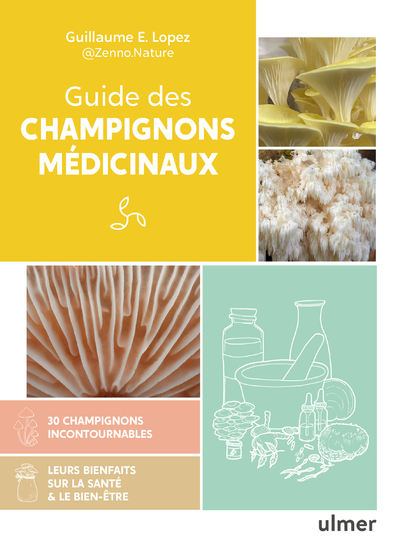 Guide des champignons médicinaux - 30 champignons incontournables - Les bienfaits pour la santé et le bien-être