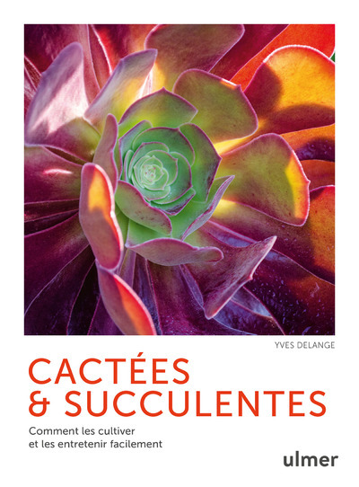 Cactées et succulentes - Comment les cultiver et les entretenir facilement