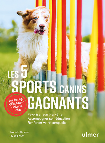 Les 5 sports canins gagnants