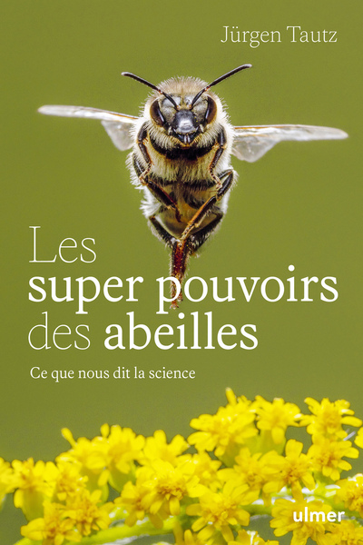 Les super-pouvoirs des abeilles - Ce que nous dit la science