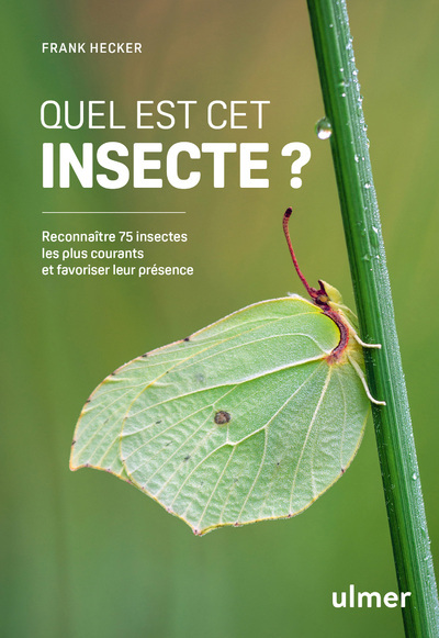 Quel est cet insecte ? - Reconnaître 75 insectes les plus courants et favoriser leur présence