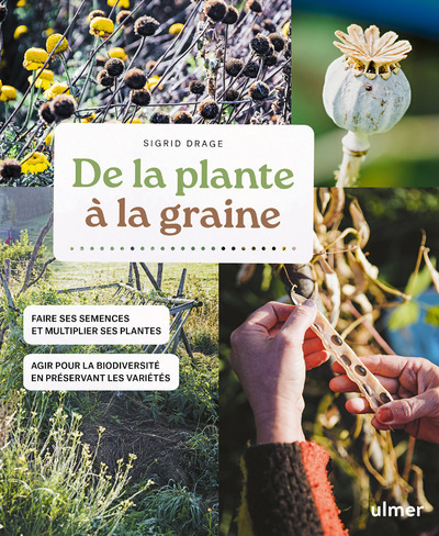 De la plante à la graine