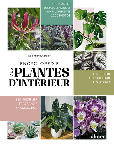 Encyclopédie des plantes d'intérieur