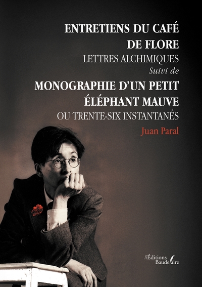 Entretien du Café de Flore - Lettres alchimiques - suivi de Monographie d'un petit éléphant mauve ou Trente-six instantanés