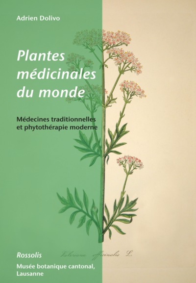Plantes médicinales du monde médecines traditionnelles et phytothérapie moderne