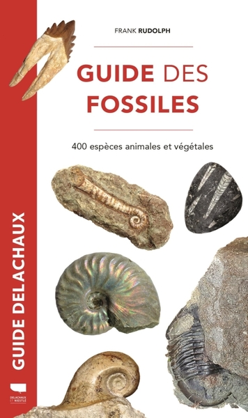 Guide des fossiles - 400 espèces animales et végétales