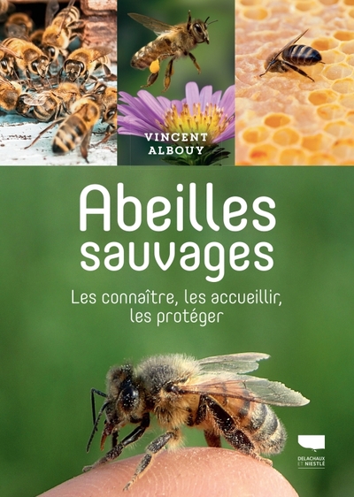 Abeilles sauvages - Les connaître, les accueillir, les protéger