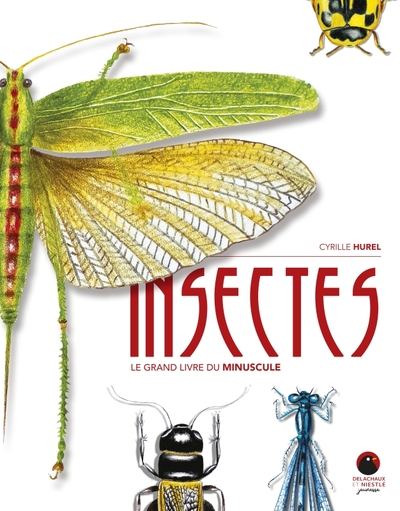 Insectes - Le grand livre du minuscule