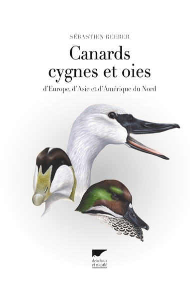 Canards, cygnes et oies - d'Europe, d'Asie et d'Amérique du Nord