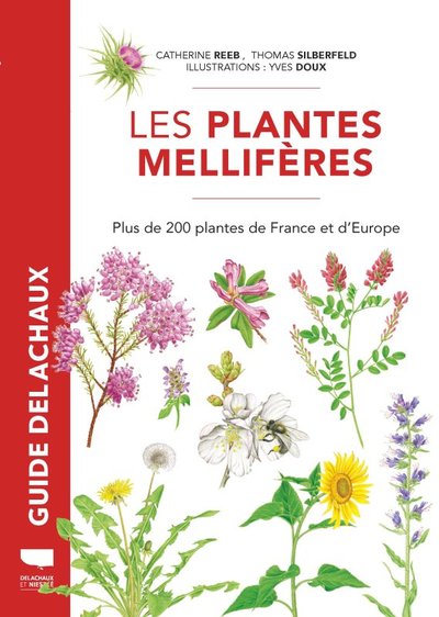 Plantes mellifères - Plus de 200 plantes de France et d'Europe
