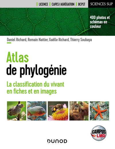 Campus - Atlas de phylogénie - La classification du vivant en fiches et en images