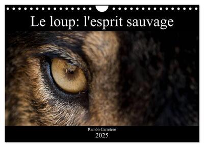 CALVENDO Animaux - Le loup: l'esprit sauvage (Calendrier mural 2025 DIN A4 vertical), CALVENDO calendrier mensuel - Des images incroyables de loups