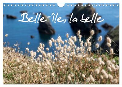 CALVENDO Places - Belle-Île, la belle (Calendrier mural 2025 DIN A4 vertical), CALVENDO calendrier mensuel - Belle-Île-en-Mer, une île nature, naturelle, préservée. Des petites criques, des plages, des rochers, de la flore, un enchantement.