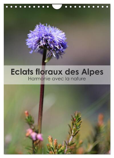 CALVENDO Nature - Éclats floraux des Alpes - Harmonie avec la nature (Calendrier mural 2025 DIN A4 horizontal), CALVENDO calendrier mensuel - Découvrez l'harmonie naturelle des Alpes à travers un calendrier qui célèbre l'éclat et la diversité florale de cette région majestueuse.