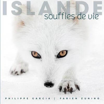 Islande - Souffles de vie