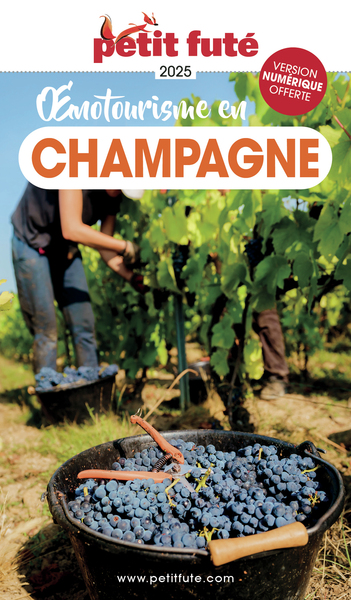 Guide Oenotourisme en Champagne 2026 Petit Futé
