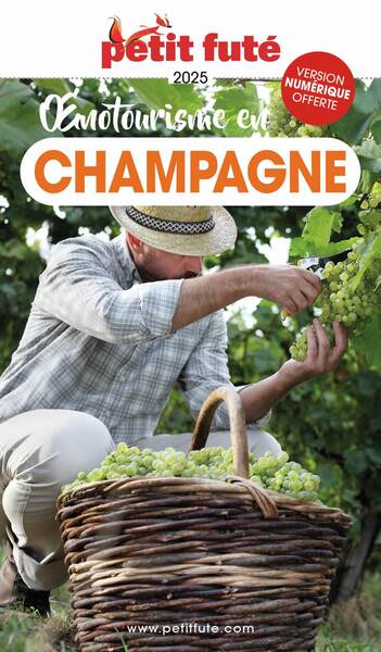 Guide Oenotourisme en Champagne 2025 Petit Futé