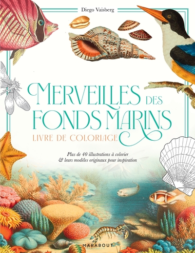 Merveilles des fonds marins - Carnet de coloriage avec modèles en couleur
