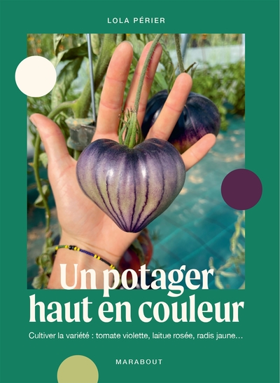 Un potager haut en couleur - Cultiver la variété : tomate violette, laitue rosée, radis jaune