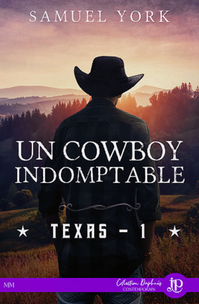 TEXAS - Un cowboy indomptable
