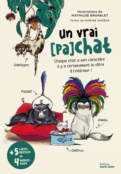 Un vrai (pa)chat - Chaque chat a son caractère : il y a certainement le vôtre à l'intérieur !