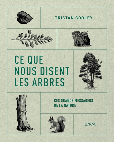 Ce que nous disent les arbres - Ces grands messagers de la nature